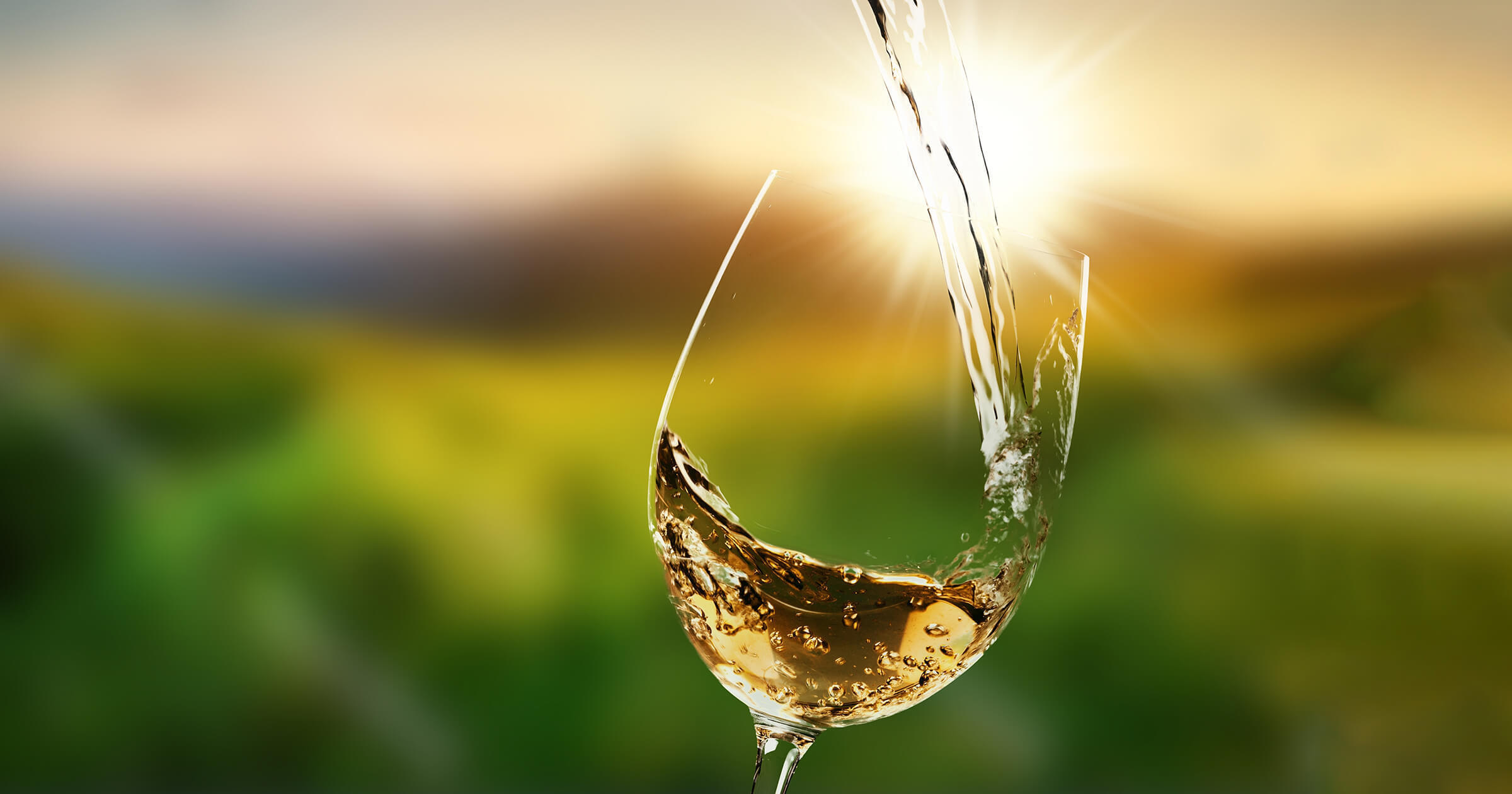 フランスワイン解説『サンセール』と『プイィ・フュメ』（Sancerre／Pouilly Fume）