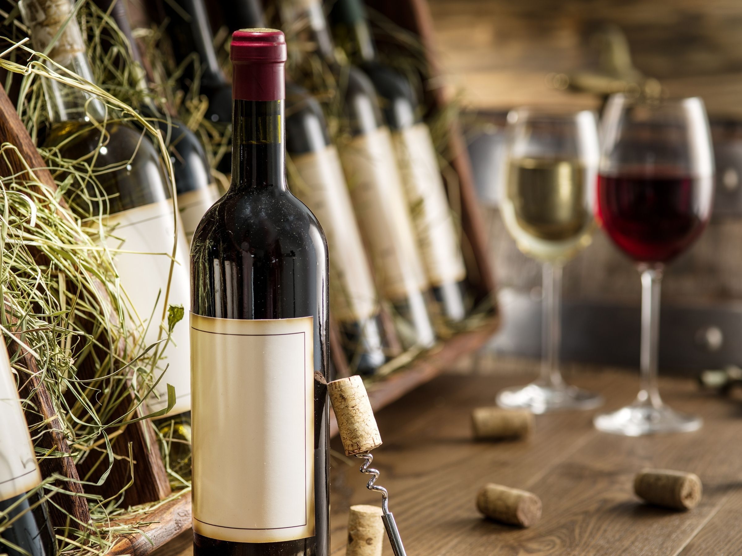 【ワイン初心者向け】初めてでも失敗しない！おすすめワインと選び方ガイド