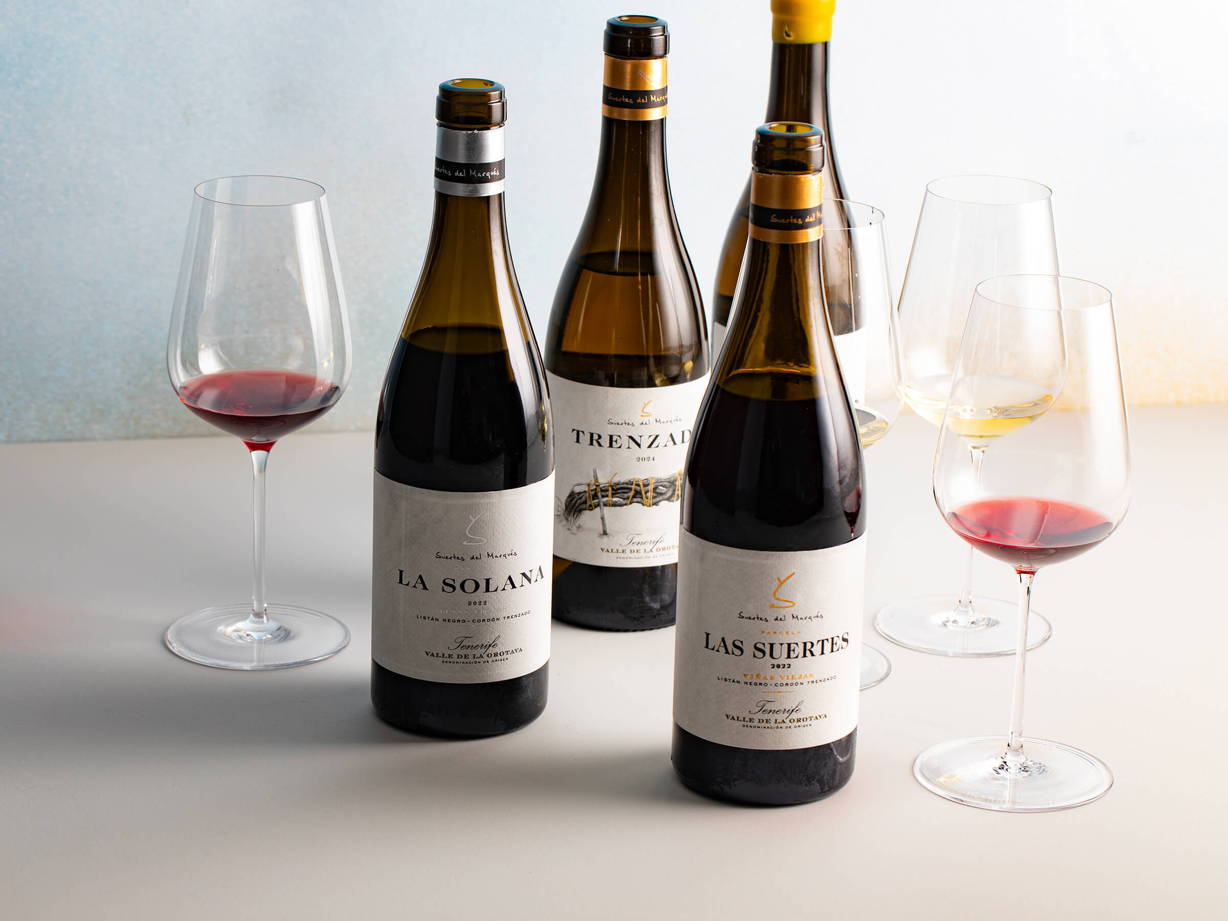 今月の新規取り扱い商品【2026年3月】