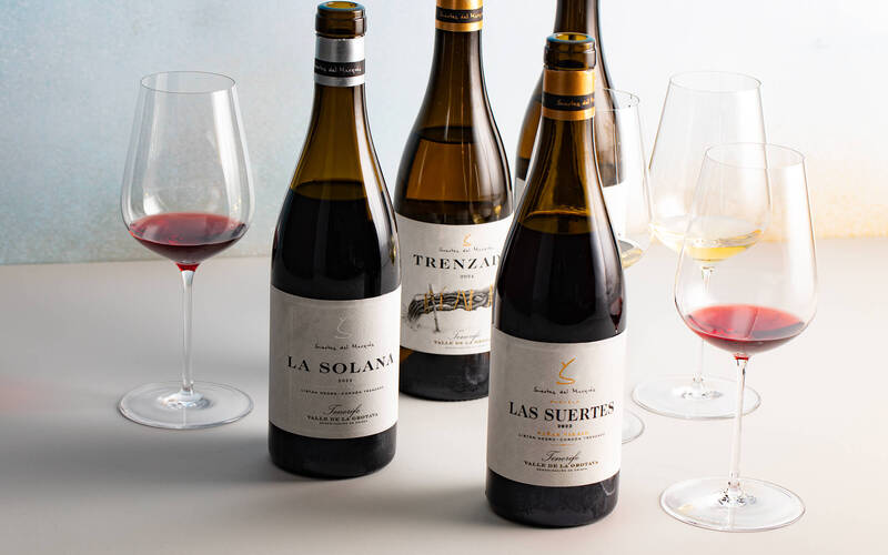 今月の新規取り扱い商品【2026年3月】