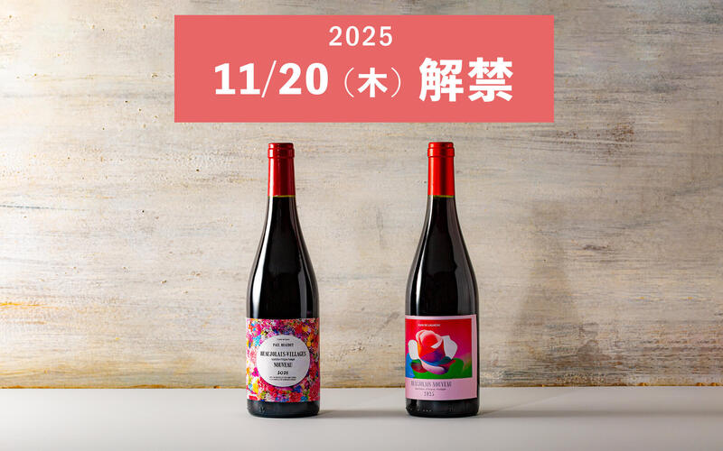11/20（木）解禁！輸入元が教える『ボジョレーヌーヴォ 2025』