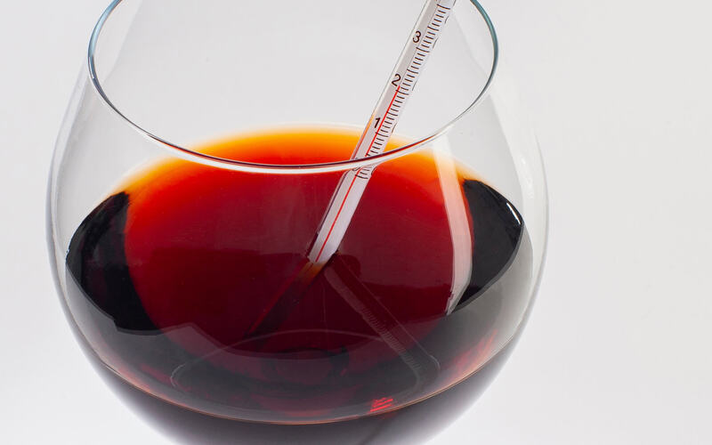 ワインはどのくらい冷やすと美味しい？最適な温度や便利な容器をご紹介！