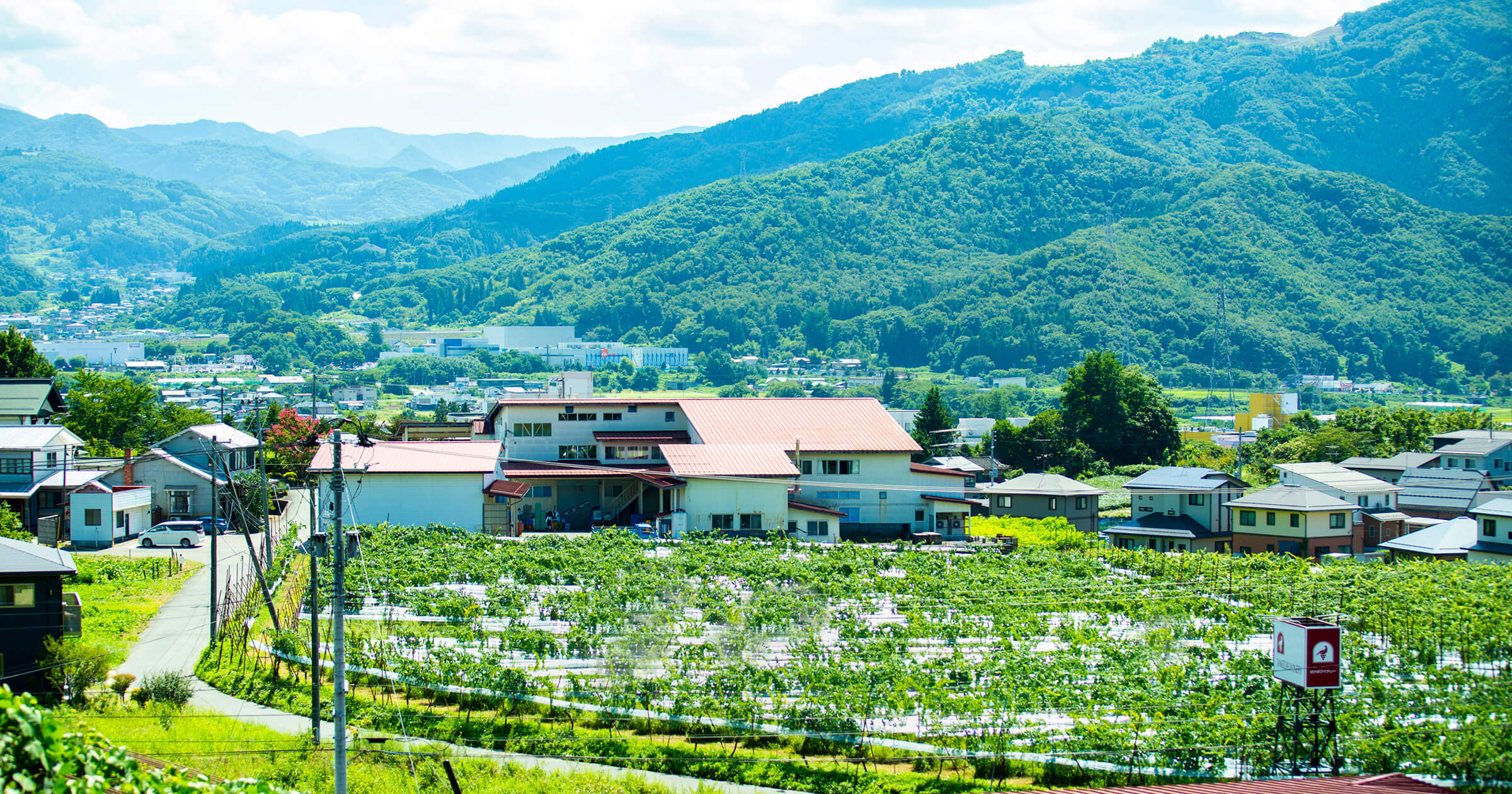 山形県　タケダワイナリー　「父が寄越したワインを飲んだ瞬間、山形の景色がパッと浮かんだんです」