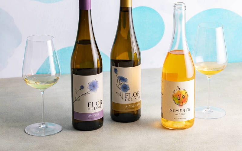 今月の新規取り扱い商品【2026年5月】