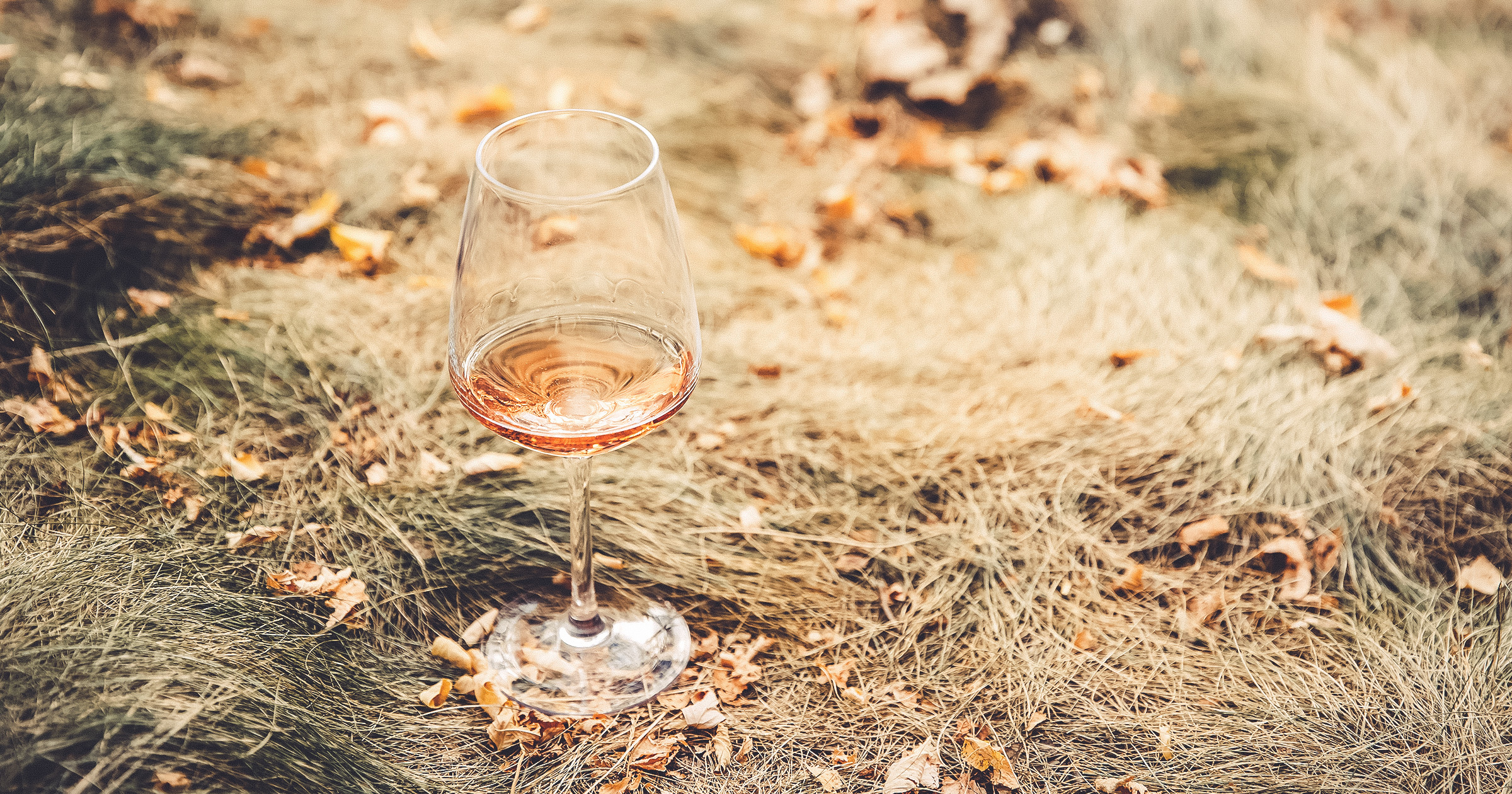 「秋の食材にあうワイン」