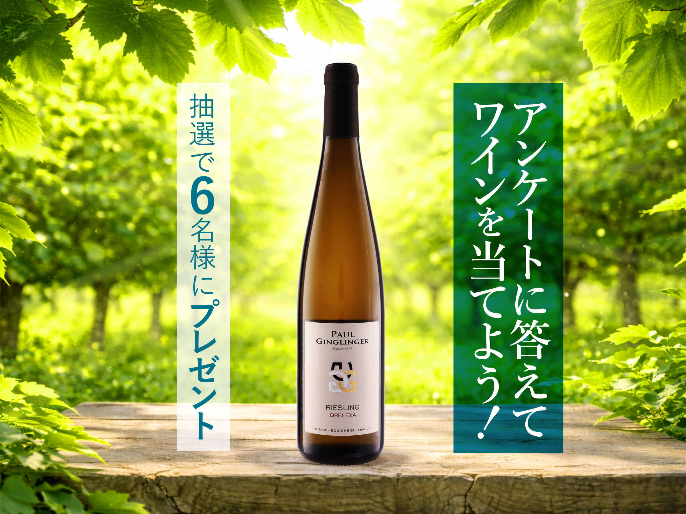 【今すぐLINEで応募！】春にのみたい辛口リースリングが当たる！プレゼントキャンペーン＜2026年3月＞