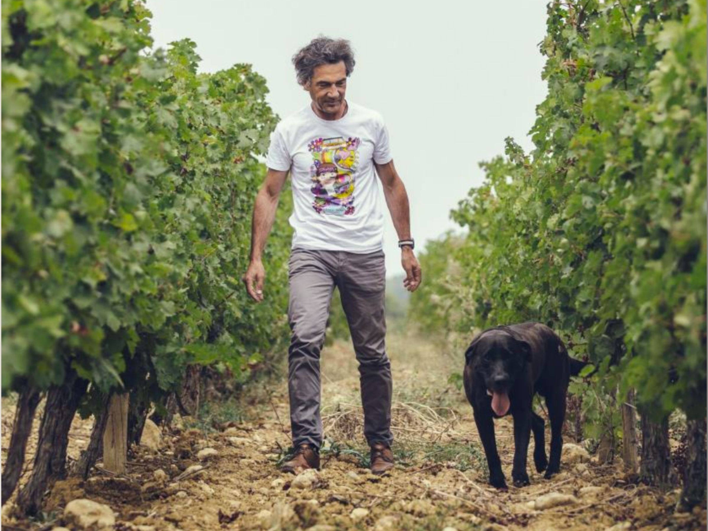 南仏ラングドックのスターワイナリー「ドメーヌ・ポール・マス」、3商品が新たに有機JAS認証取得