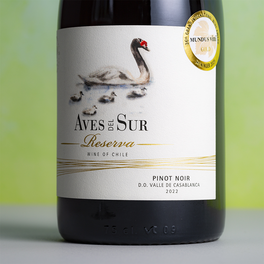 創立200年の家族経営ワイナリー、ビーニャ・デル・ペドリガルが出掛ける超コスパワイン！「デル・スール ピノ・ノワール レセルバ 2022」新発売